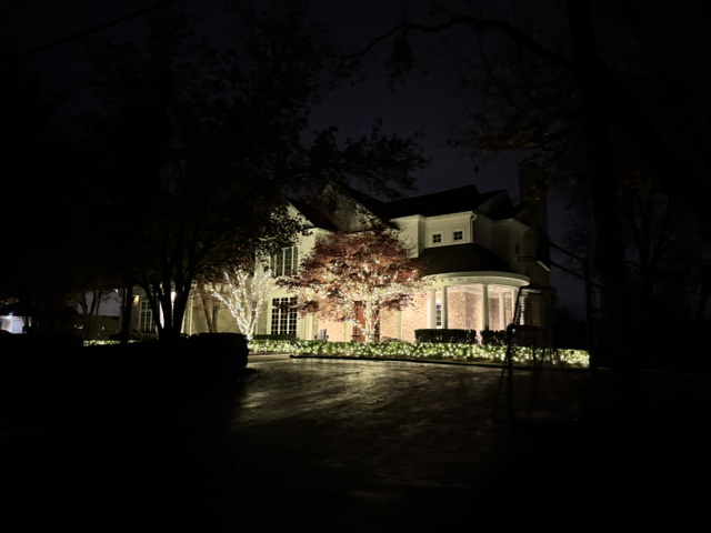 Two-story home with tree and roofline lighting at night
